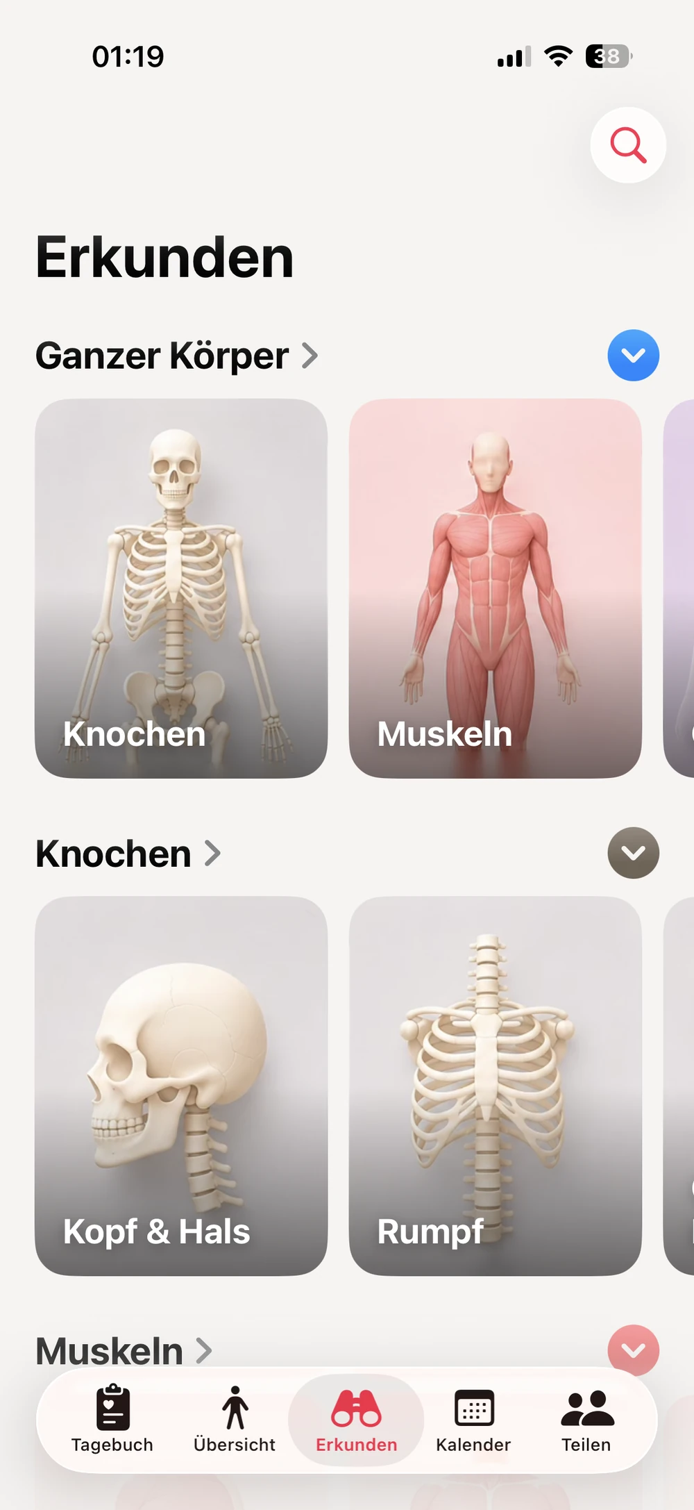 Clinos Anatomie-Bibliothek nach Ebenen geordnet