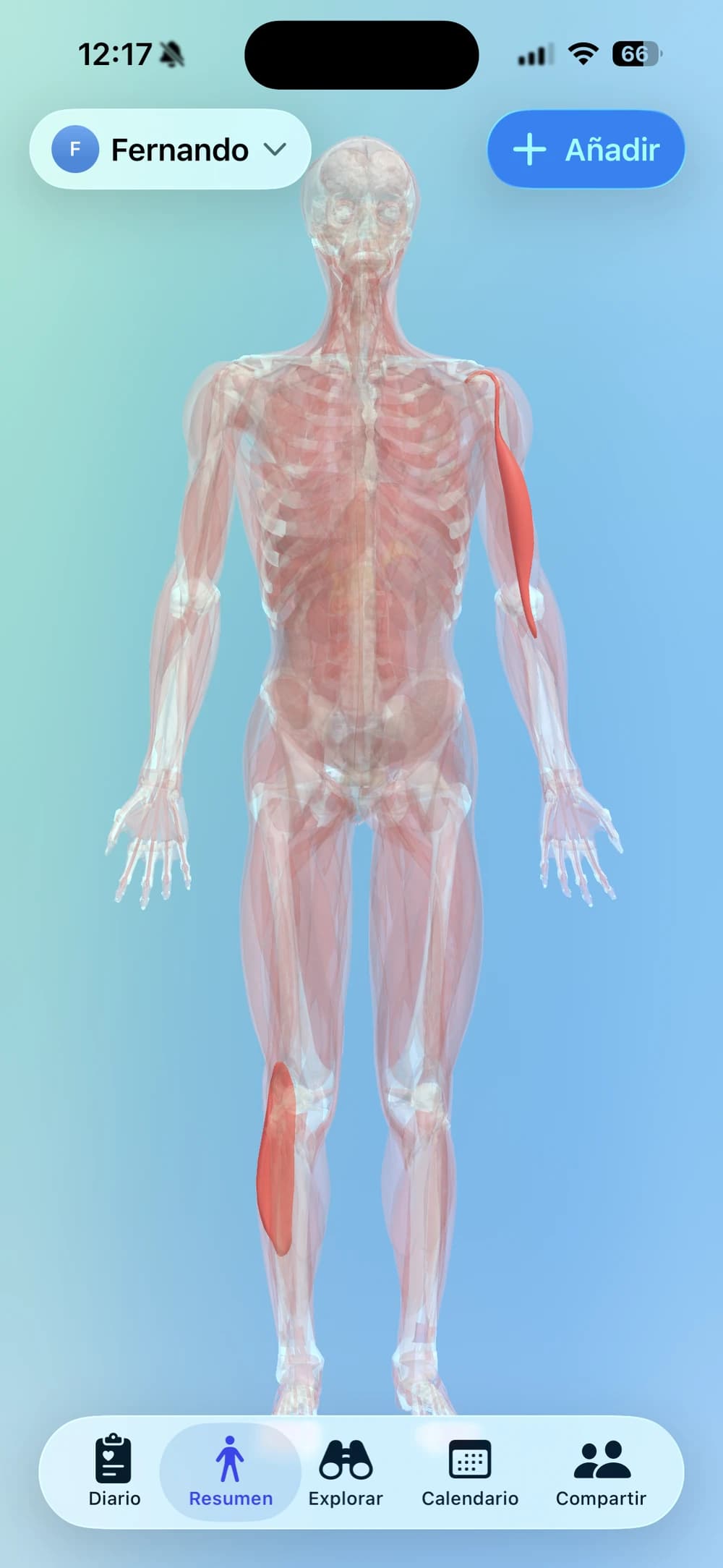 Clino mostrando el modelo de cuerpo 3D interactivo