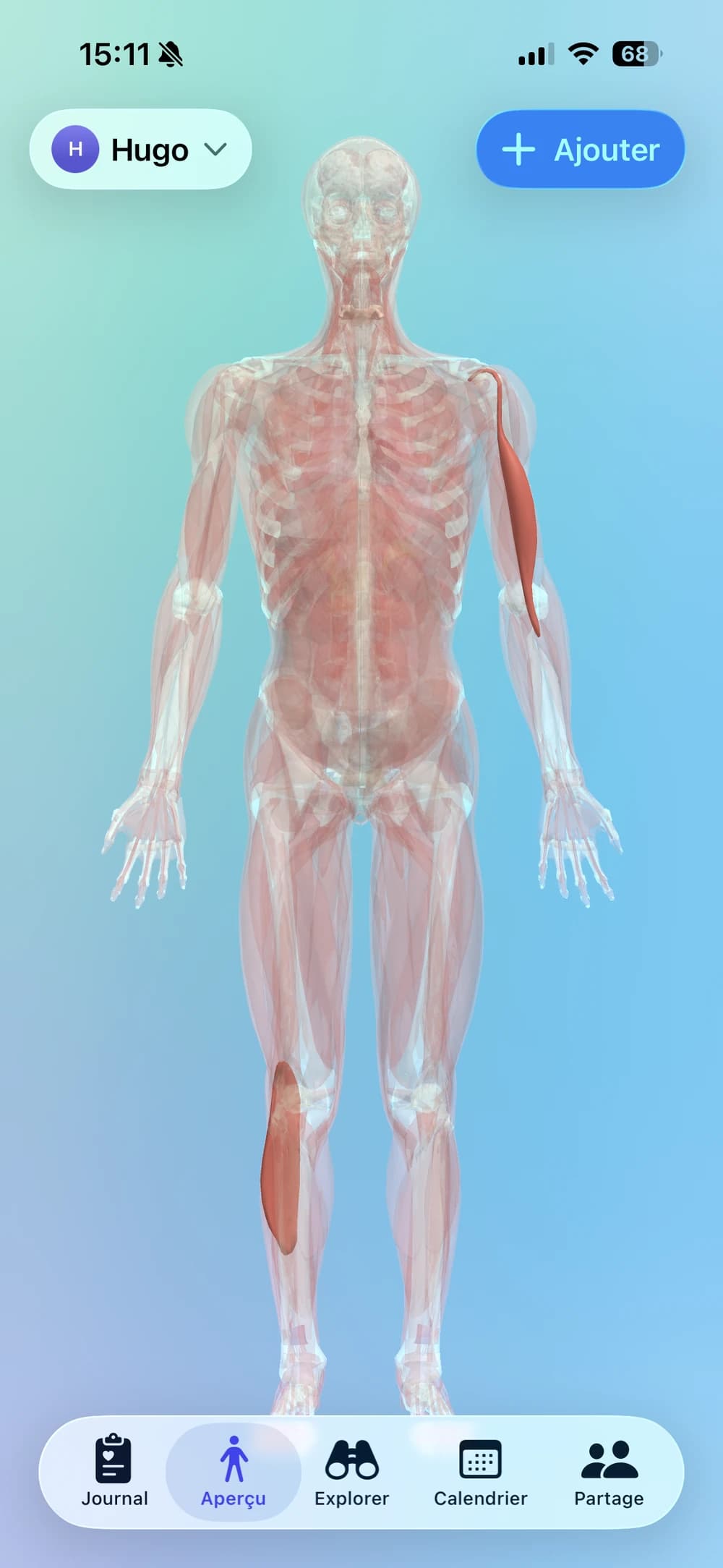 Clino affichant le modèle de corps 3D interactif