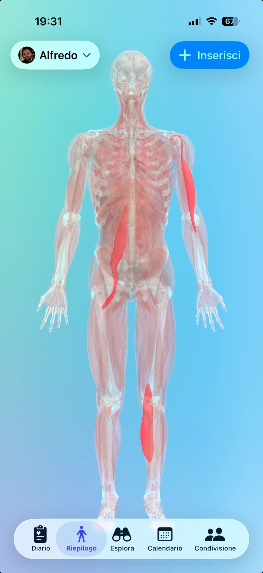 Clino mostra il modello del corpo 3D interattivo