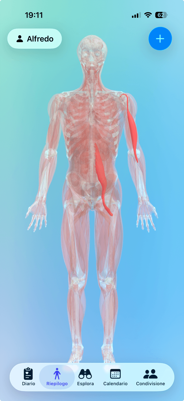 Clino showing the interactive 3D body model