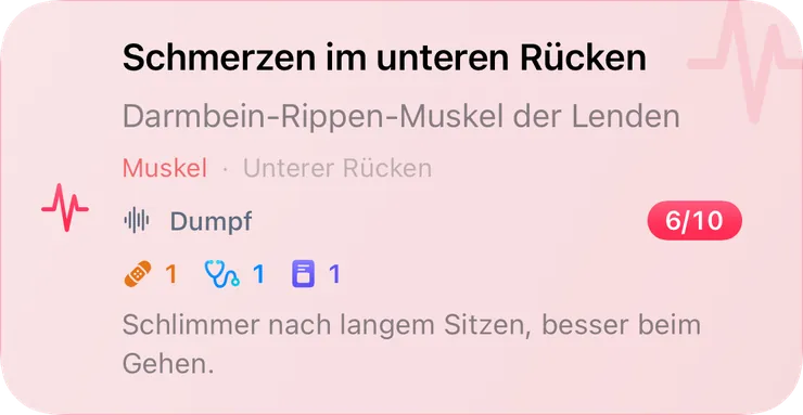 Ein Eintrag im Schmerztagebuch: „Schmerzen im unteren Rücken“, Stärke 6 von 10, dumpf, verknüpft mit Therapie, Arztbesuch und Untersuchung