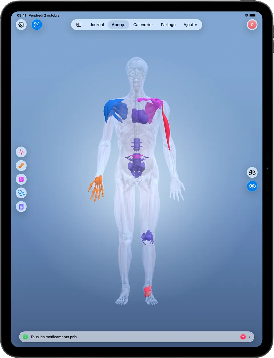 Clino sur iPad : la carte du corps en 3D avec les zones allumées, les filtres par catégorie et les modes Consulter et Naviguer