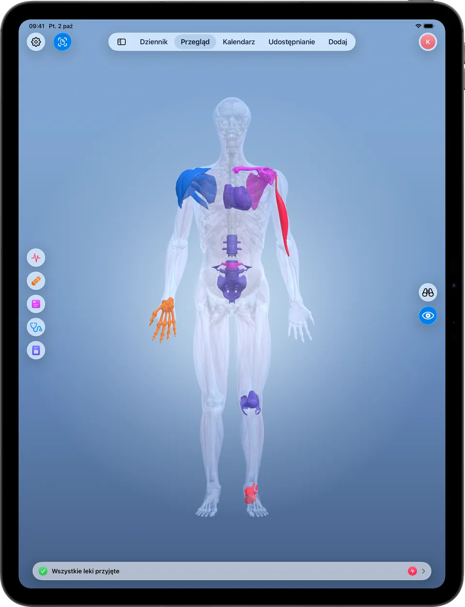 Clino na iPadzie: mapa ciała 3D z zaznaczonymi miejscami, filtrami kategorii i trybami Podgląd i Nawiguj